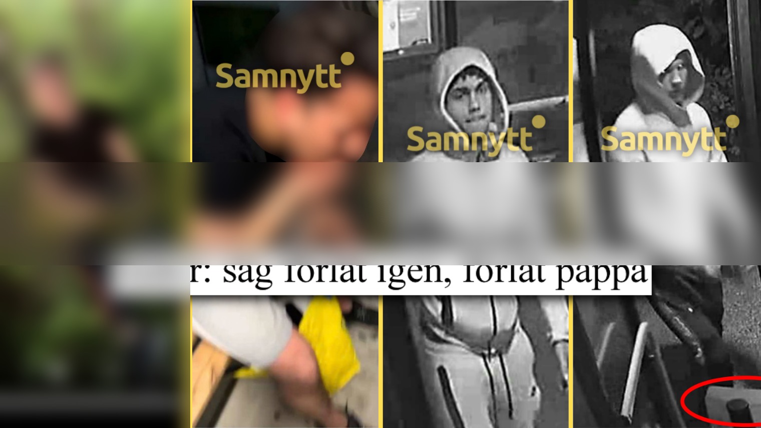 Gang Filmed Torture Beating of Swedish Teen - Two Walk Free