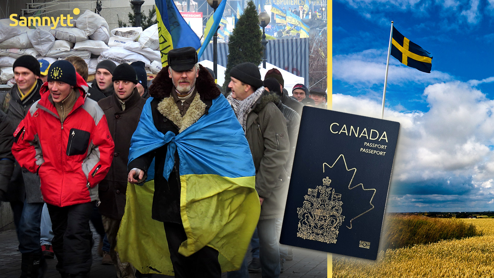 Ukrainian With Canadian Passport Wins Right to Protection in Sweden